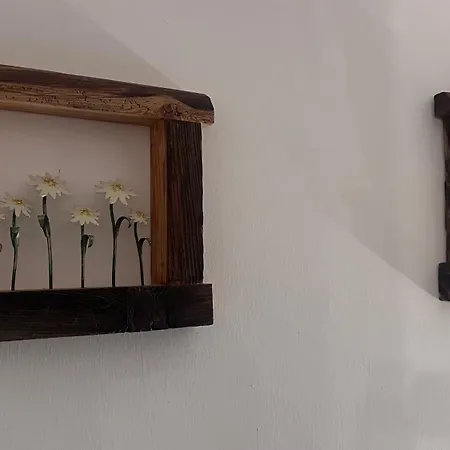 Flowery House - Val Di Fassa