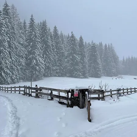 Flowery House - Val Di Fassa * Canazei