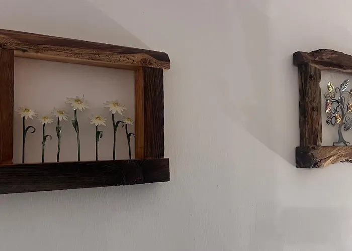 Flowery House - Val Di Fassa