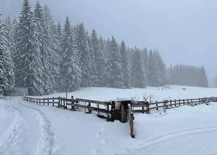 Flowery House - Val Di Fassa * Canazei